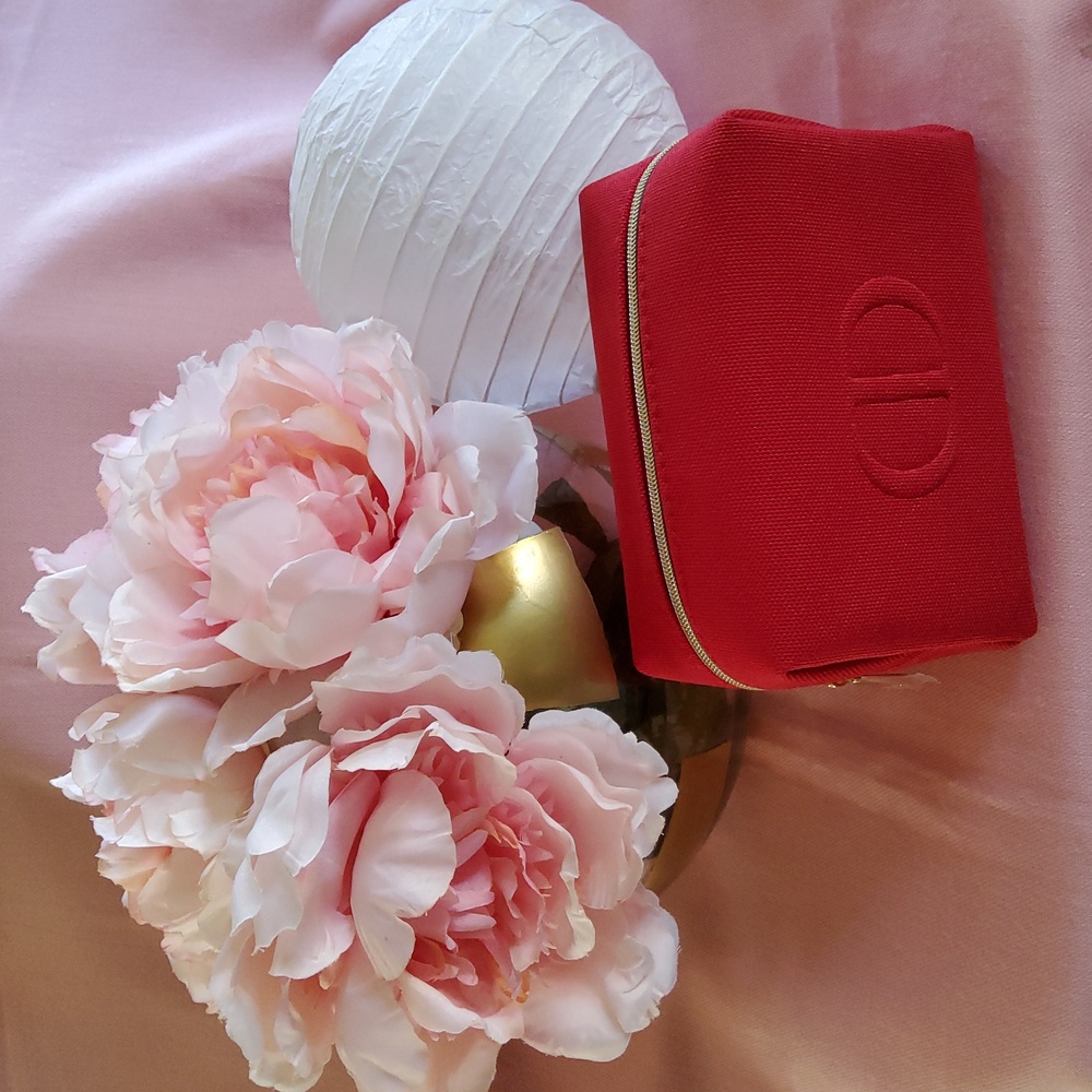Dior Evening/Cosmetic Pouch.. New!!